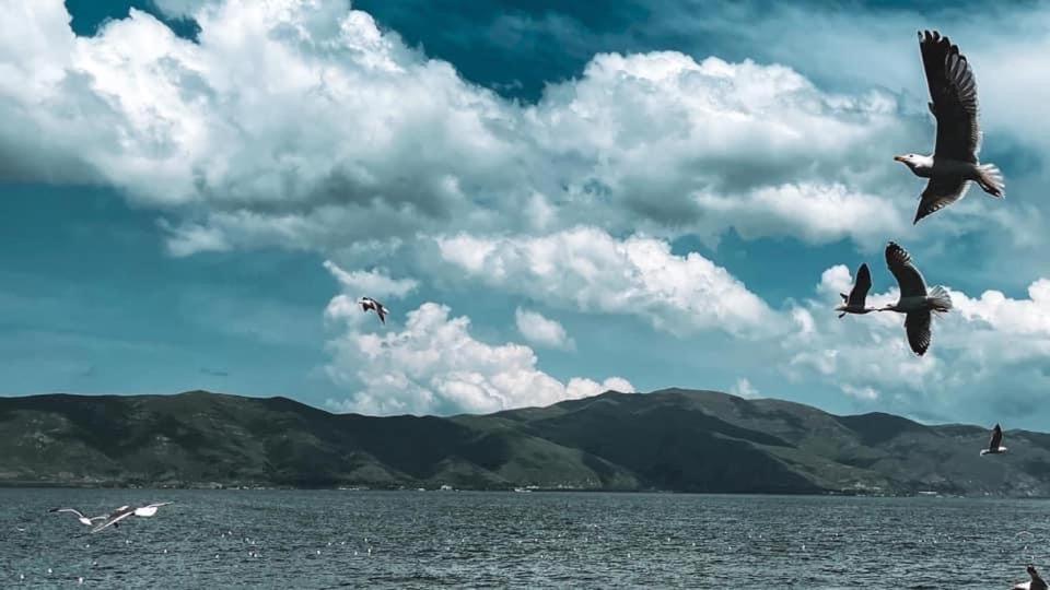 Guest House At The Lake Sevan Exterior foto
